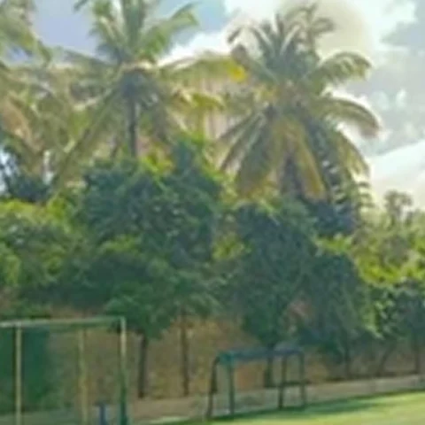 Green Initiatives